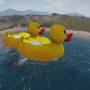 lpd_duck.jpeg